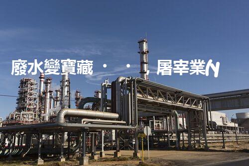 廢水變寶藏，屠宰業(yè)如何實(shí)現(xiàn)綠色處理？